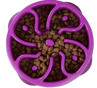 Fuschia Colored Slow Feeder Bowl with Kibble